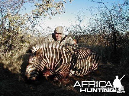 Bow Hunting Hartmann Mountain Zebra in Namibia