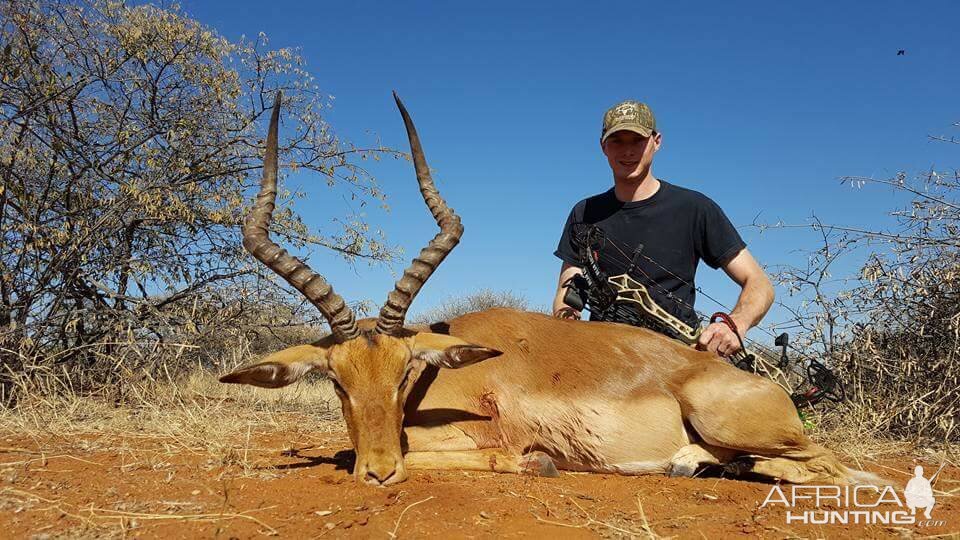 Bow Hunting Impala South Africa