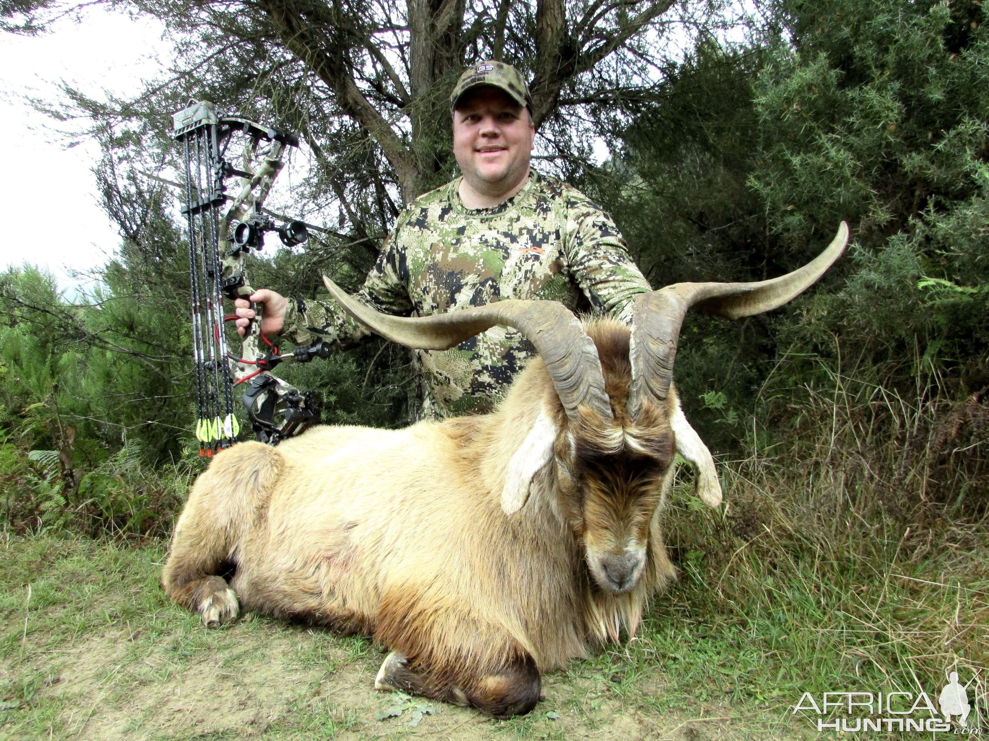 Bow Hunting in New Zealand