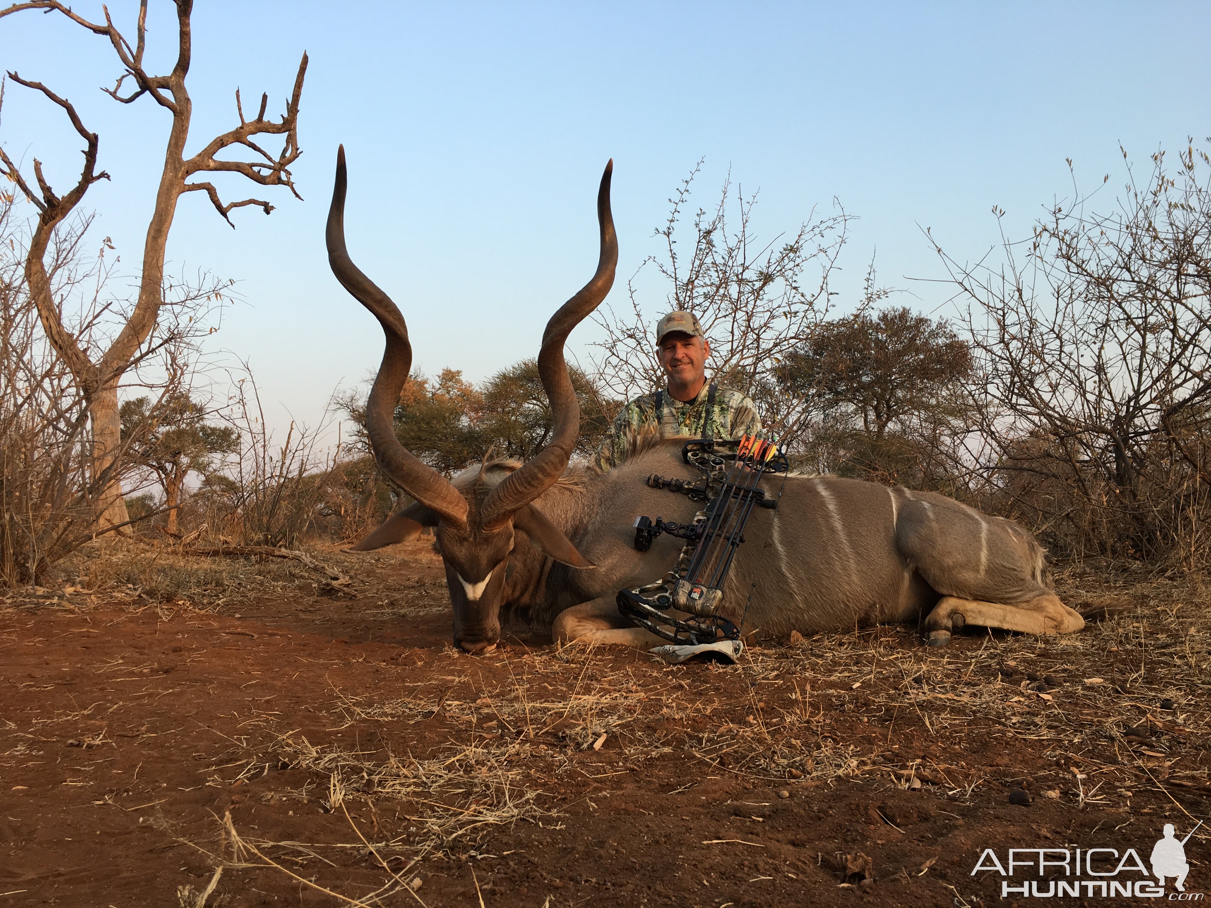Bow Hunting Kudu