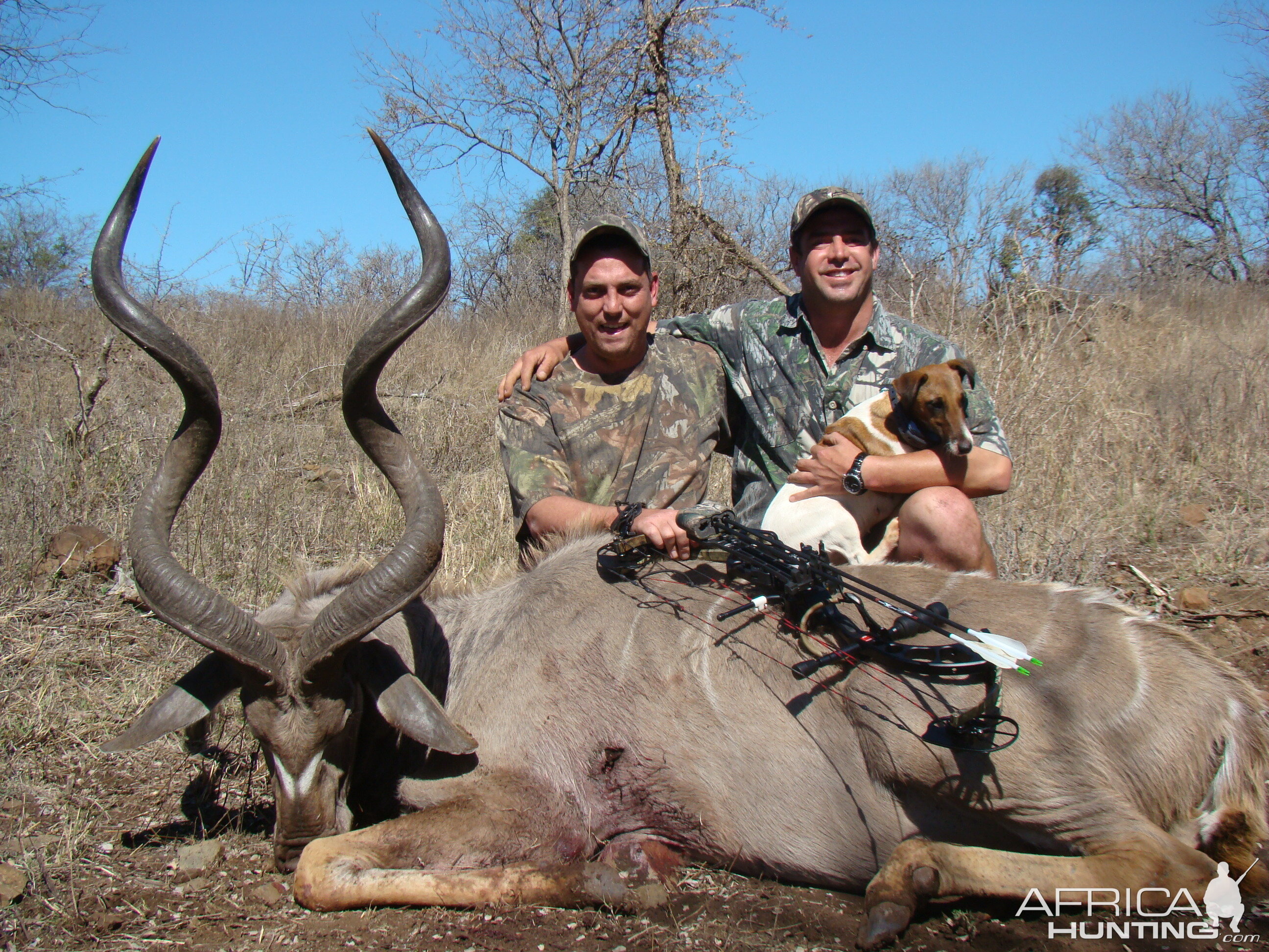 Bow Hunting Kudu