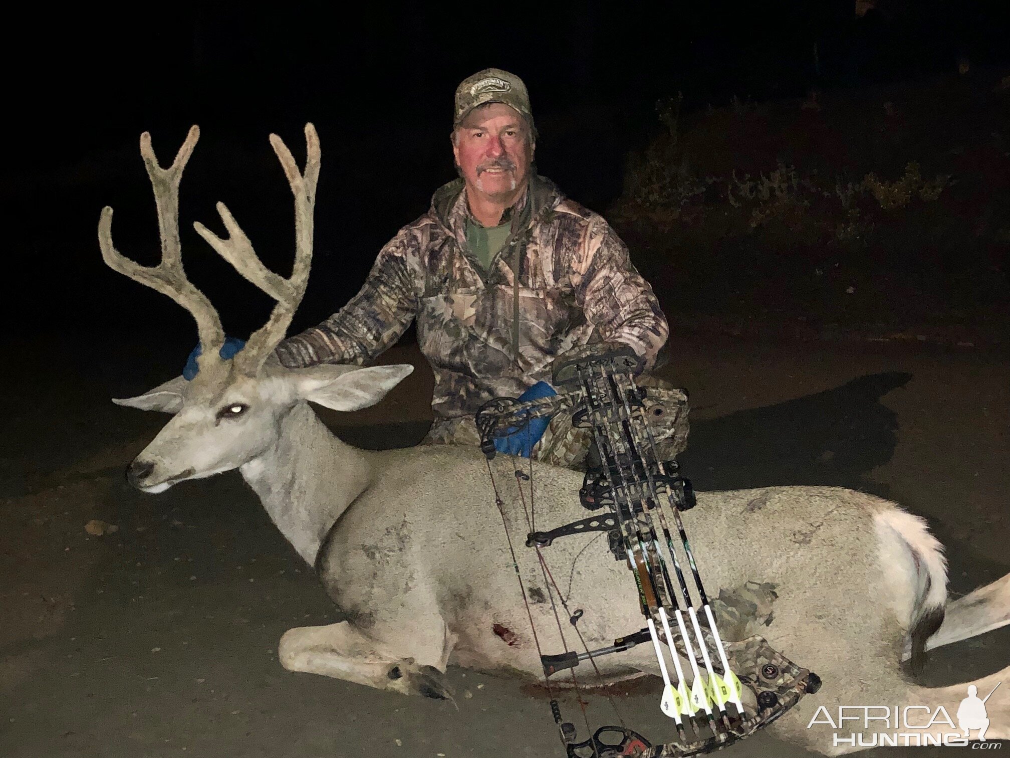 Bow Hunting Mule Deer Wyoming