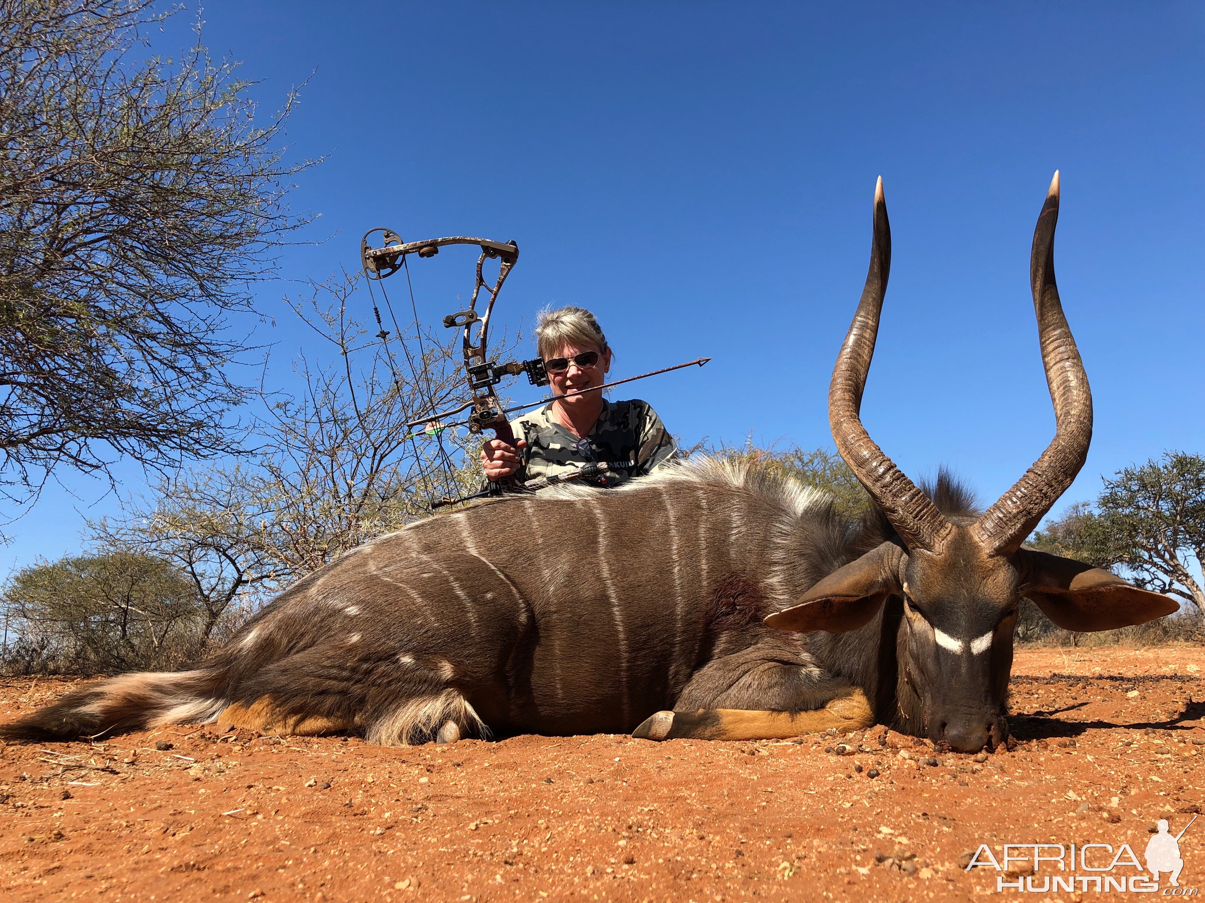 Bow Hunting Nyala in South Africa