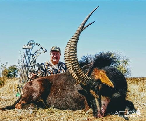 Bow Hunting Sable Antelope South Africa