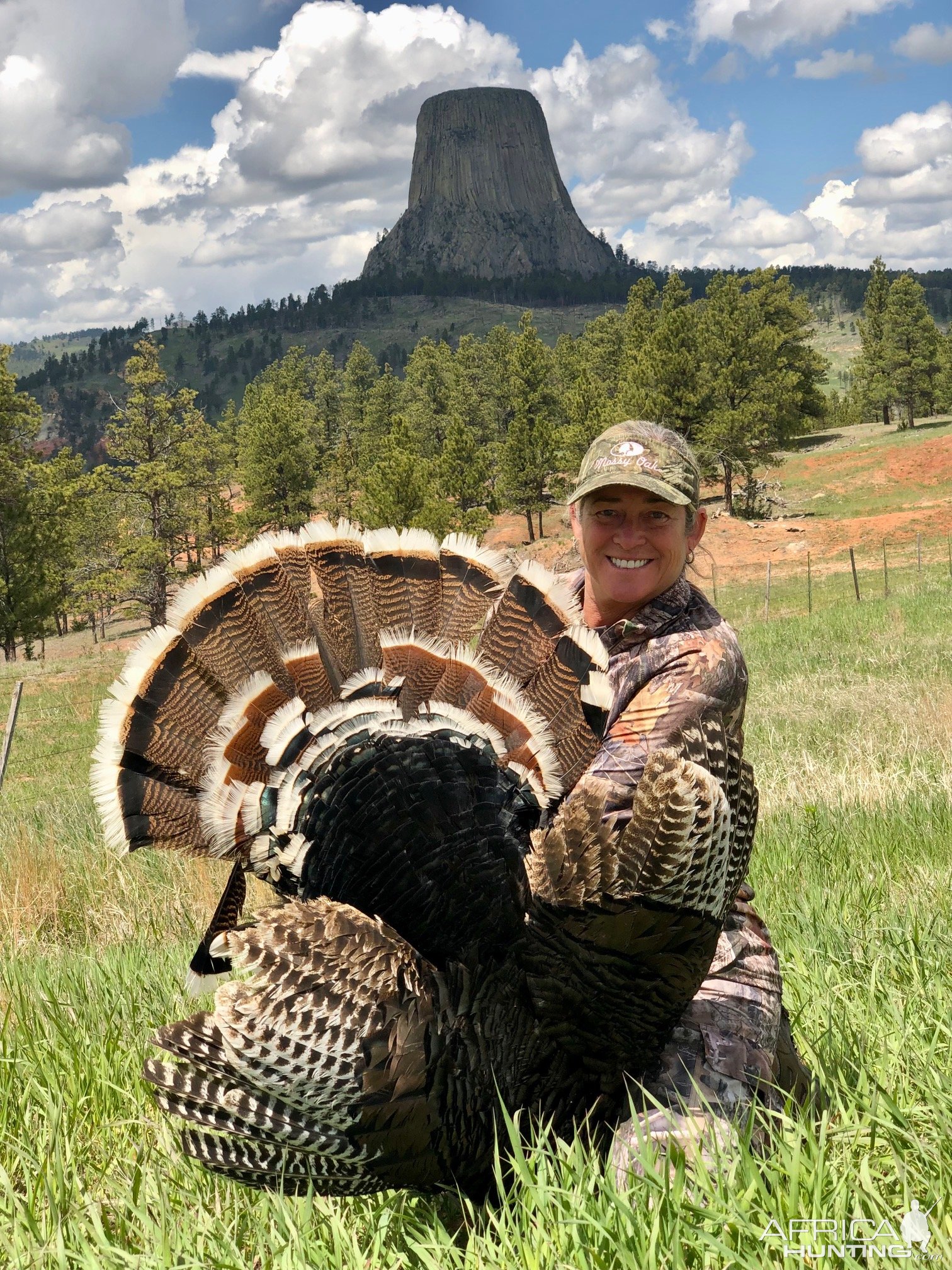 Bow Hunting Turkey Wyoming