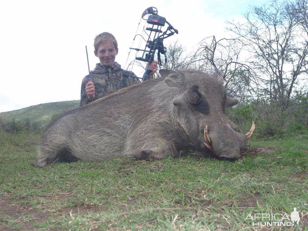 Bow Hunting Warthog in South Africa