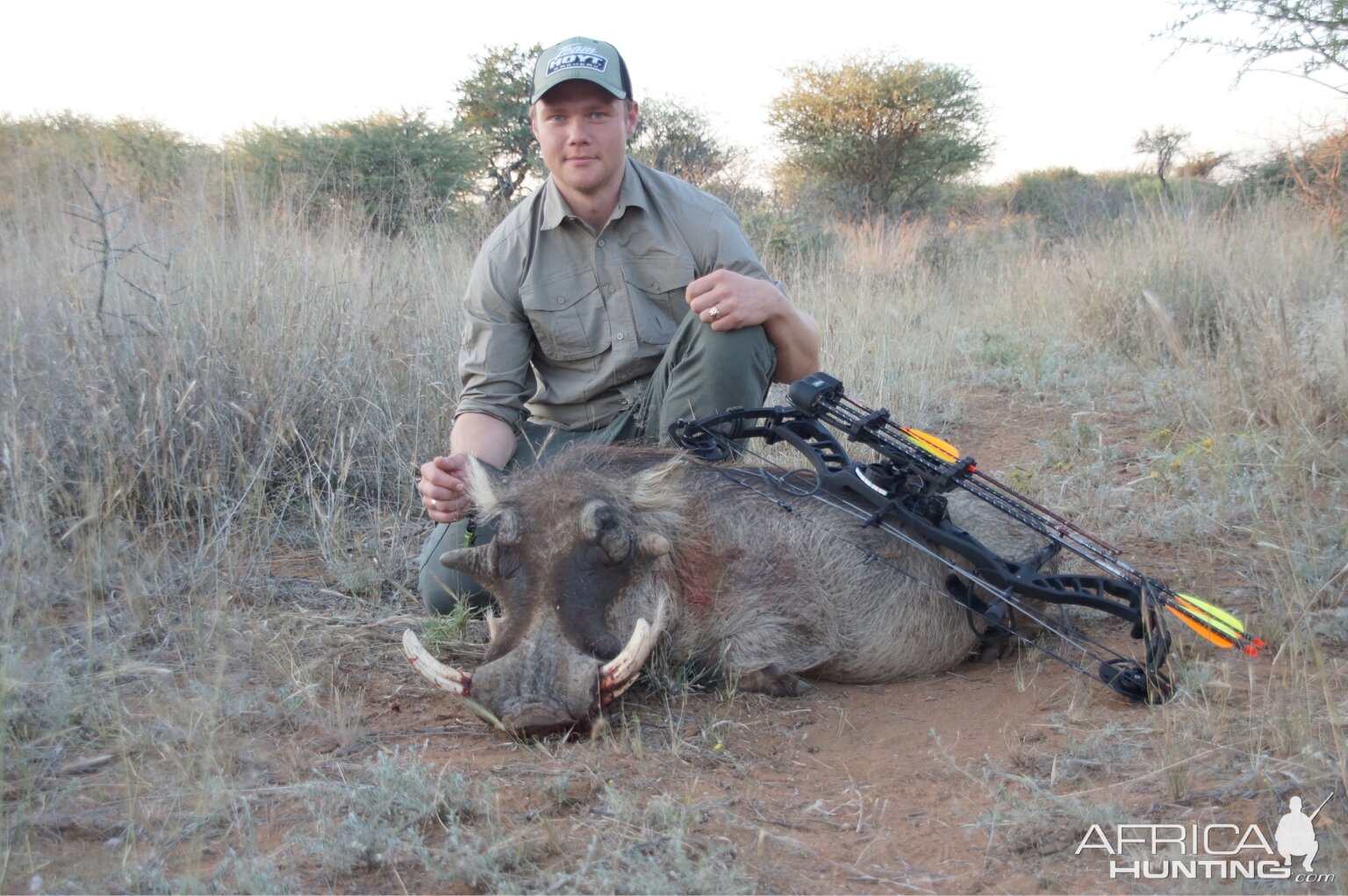 Bow Hunting Warthog South Africa