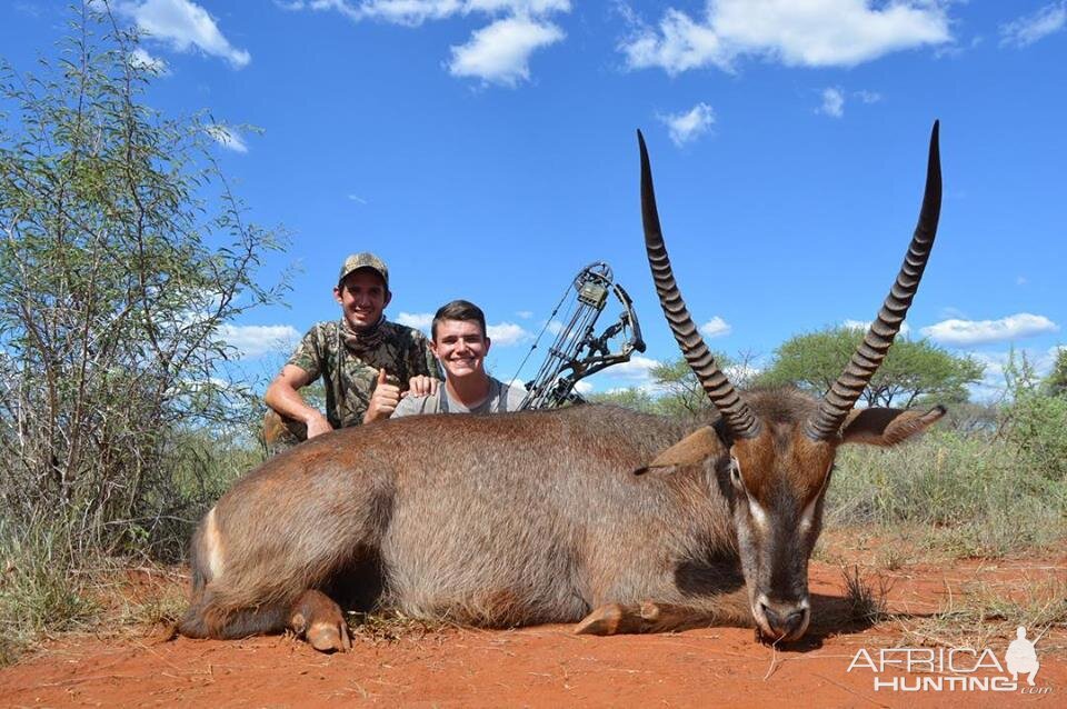 Bow Hunting Waterbuck in South Africa