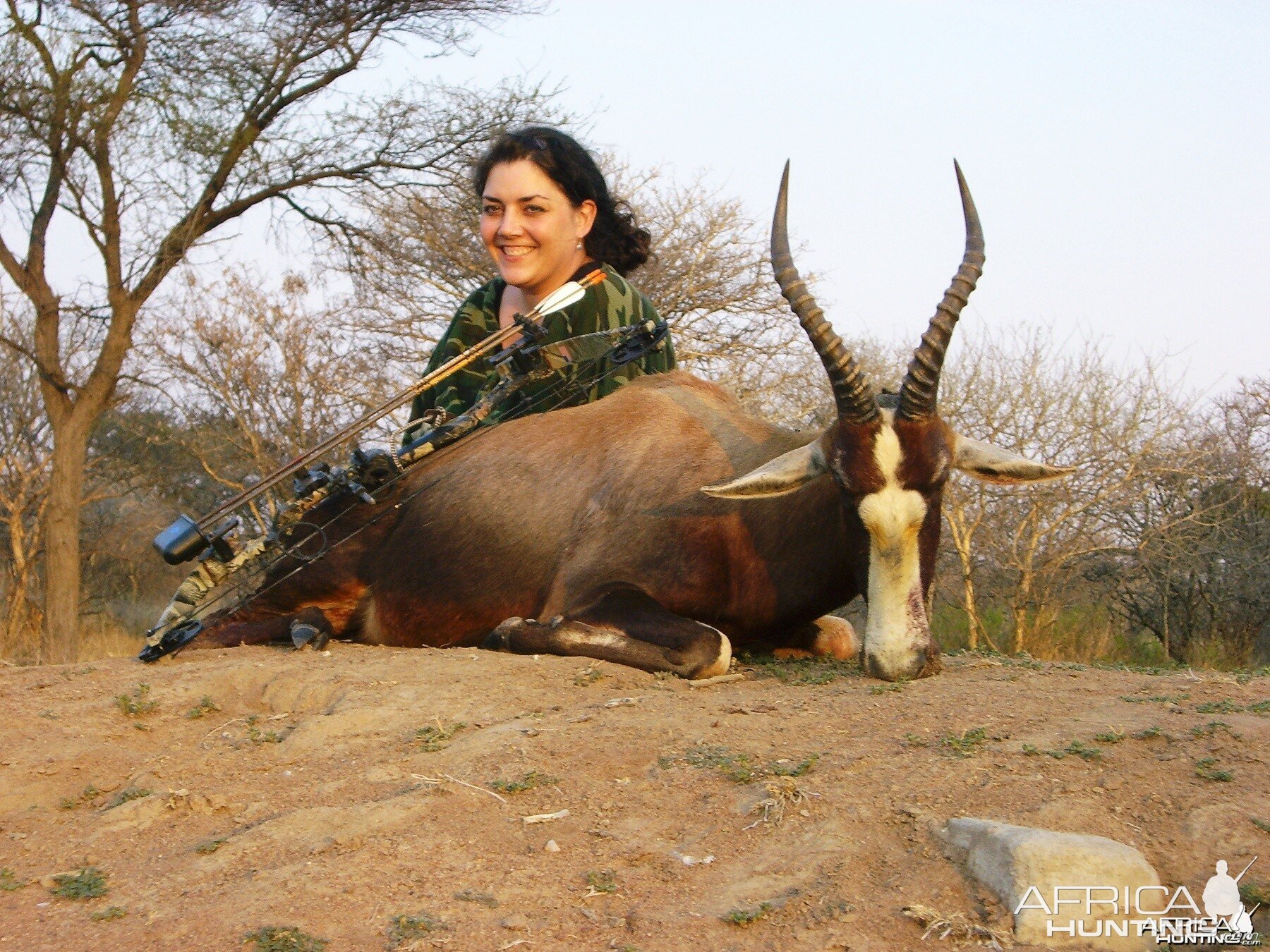 Bowhunting Blesbok