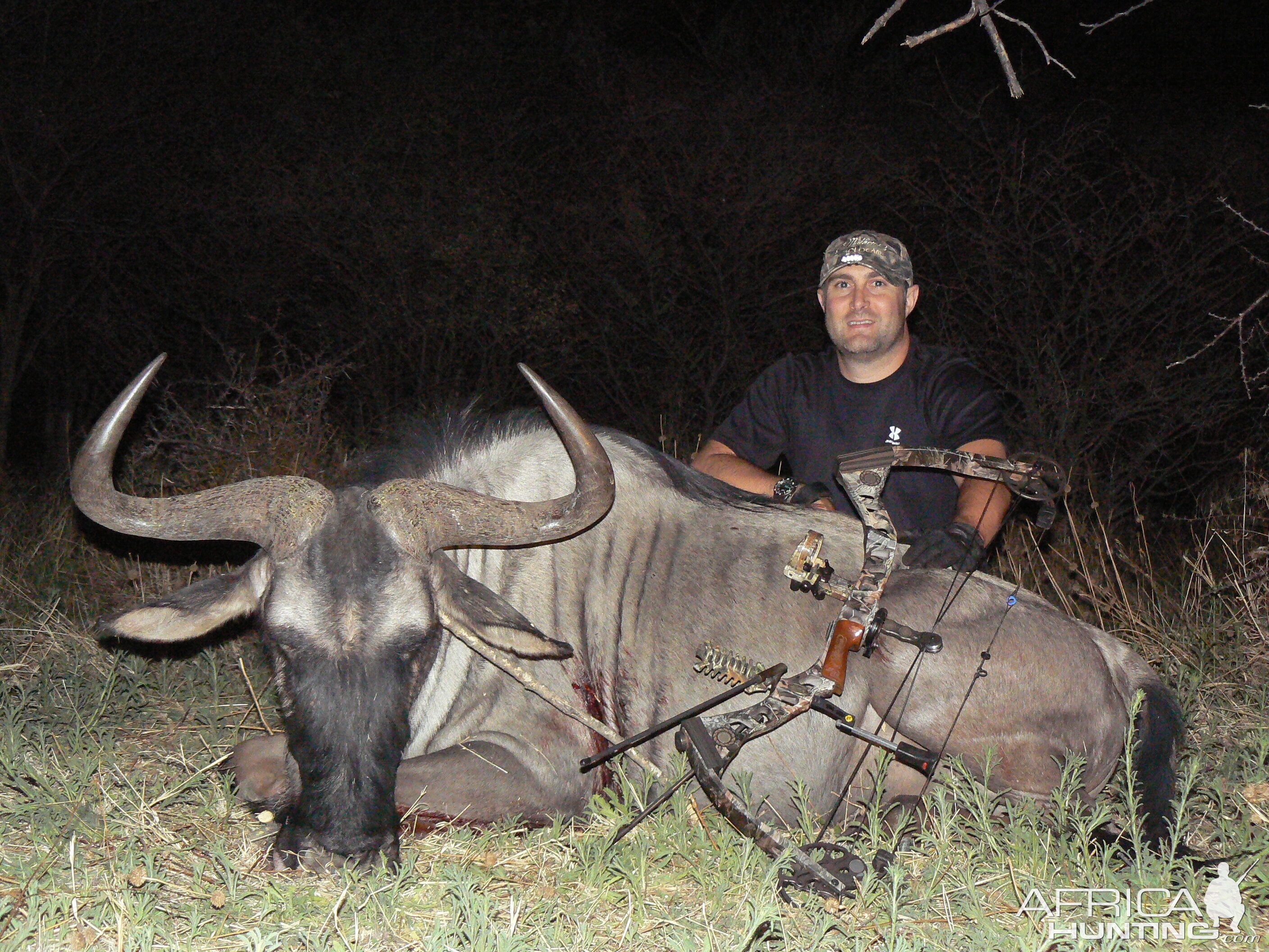 Bowhunting Blue Wildebeest in Namibia