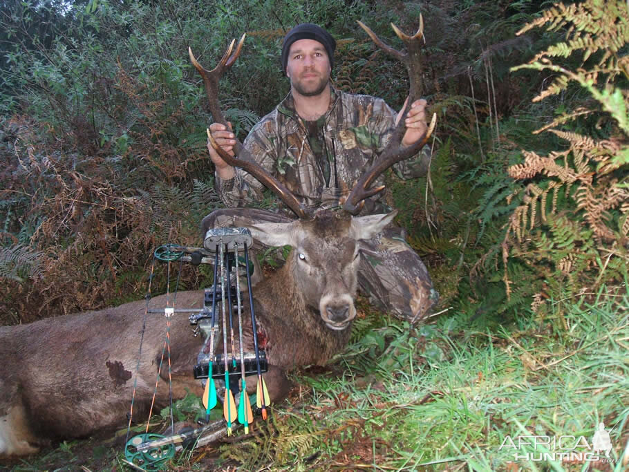 Bowhunting Deer in New Zealand