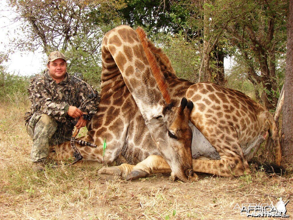 Bowhunting Giraffe in South Africa with Dalerwa Ventures for Wildlife