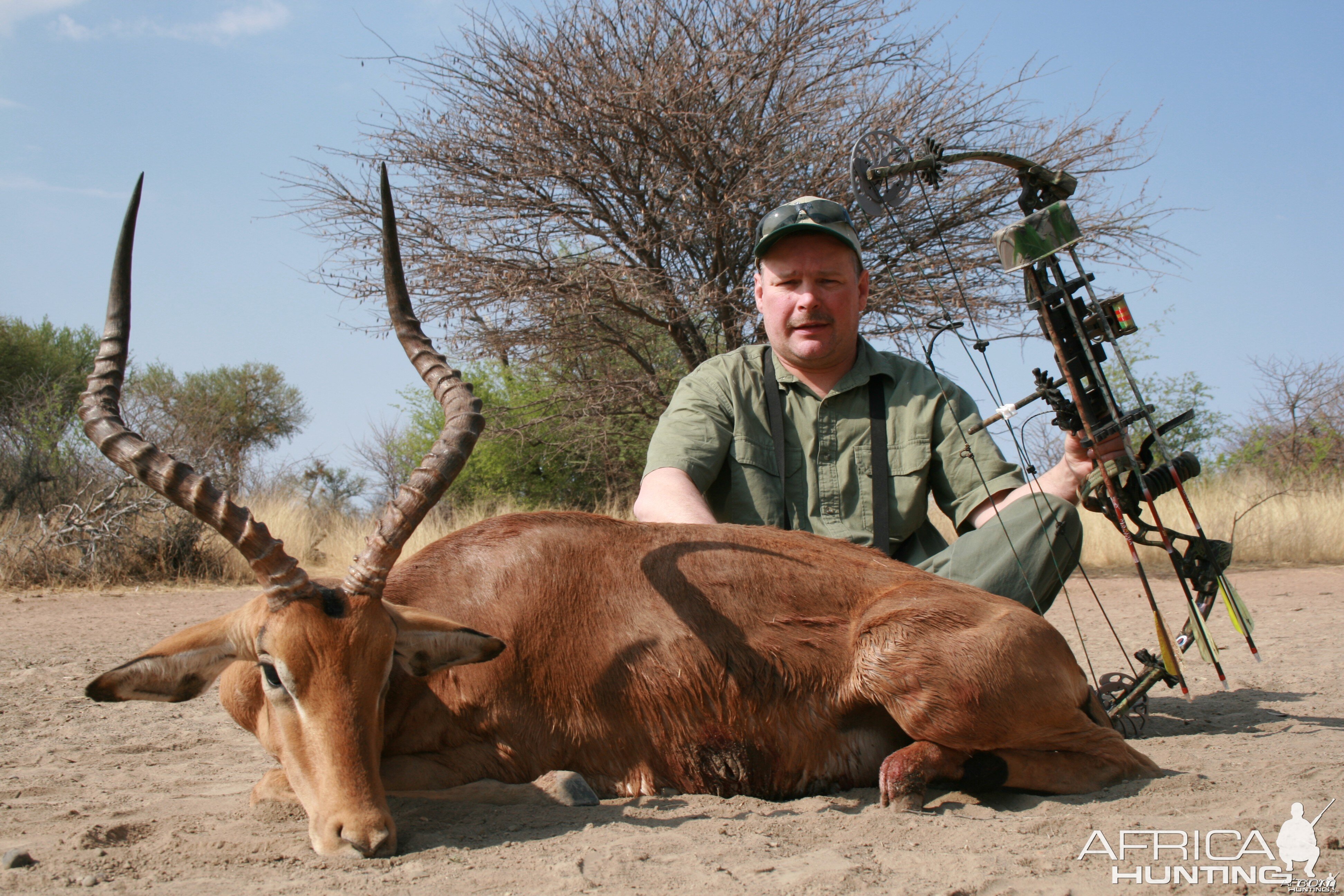 Bowhunting Impala in Namibia