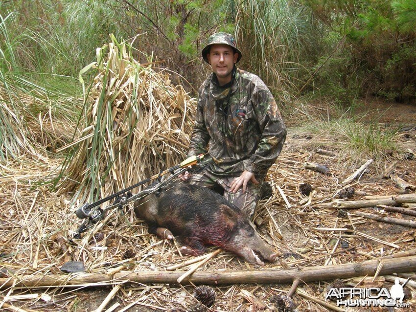 Bowhunting Pigs