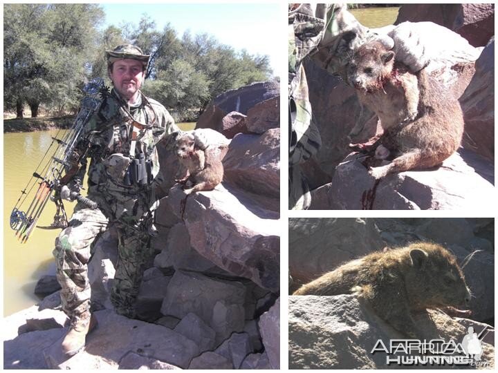 Bowhunting Rock Dassie