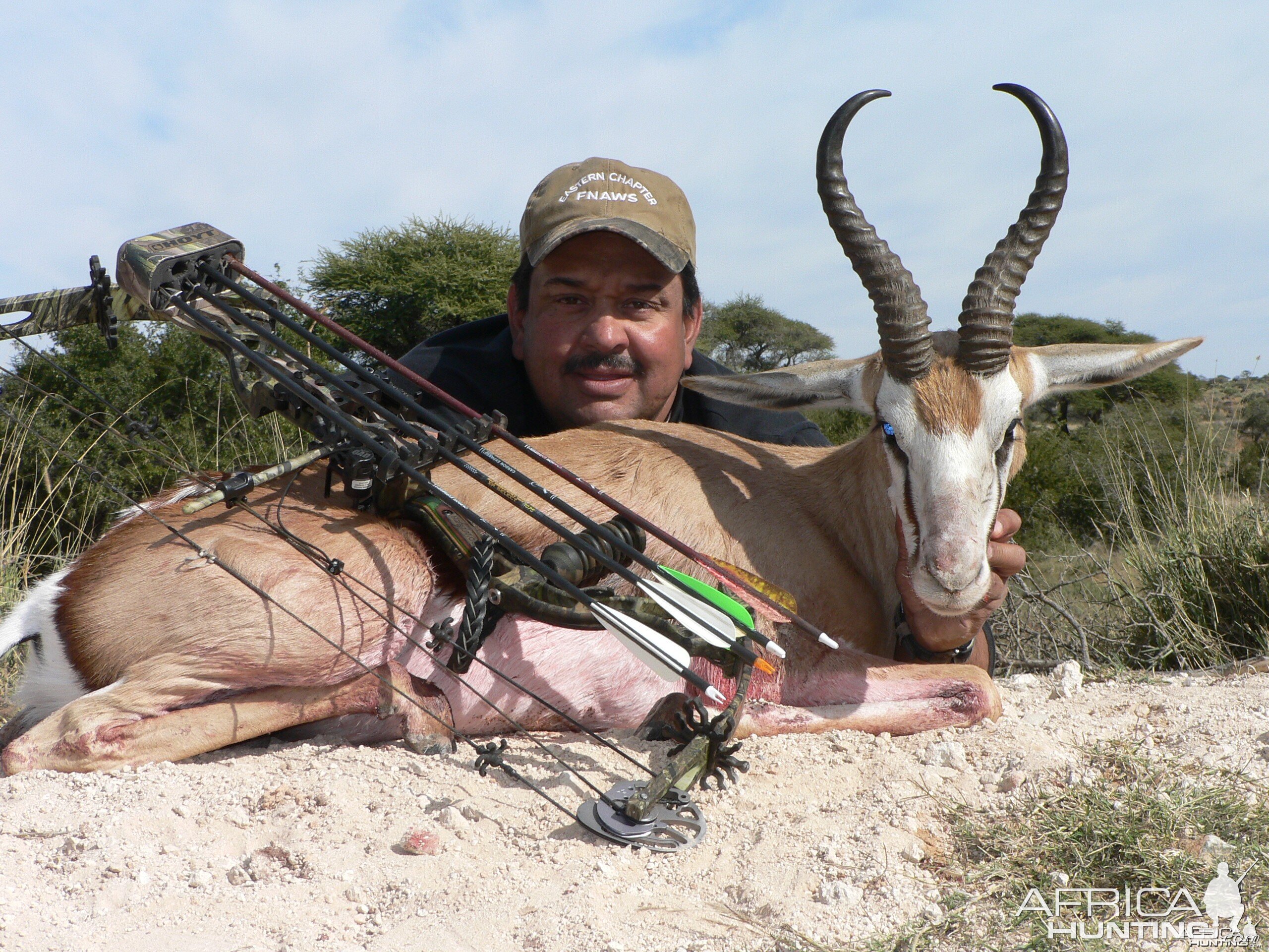 Bowhunting Springbuck with Wintershoek Johnny Vivier Safaris in SA