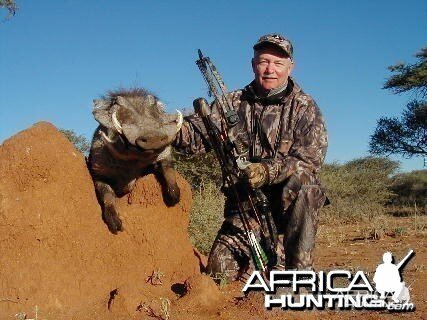 Bowhunting Warthog in Namibia