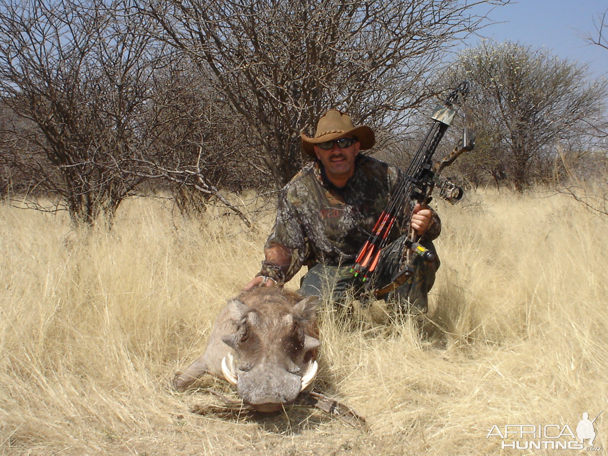 Bowhunting Warthog in Namibia