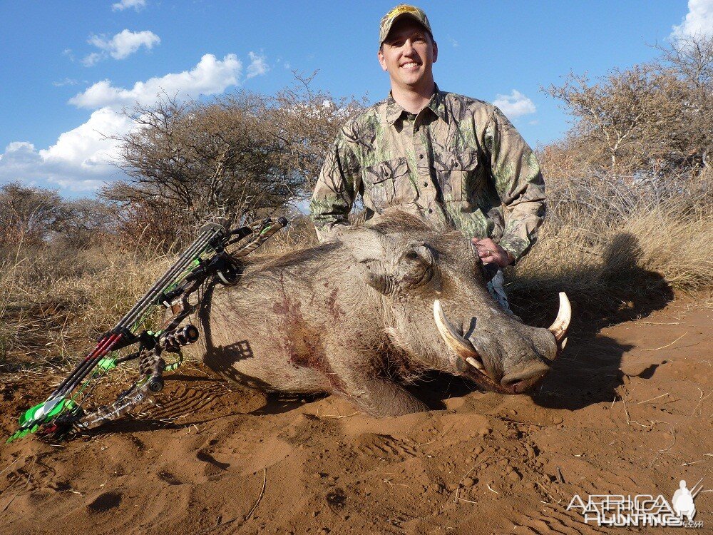 Bowhunting Warthog South Africa