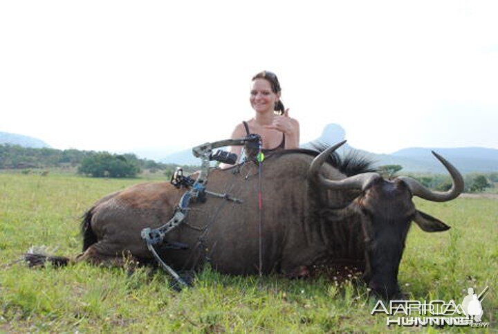 Bowhunting Wildebeest