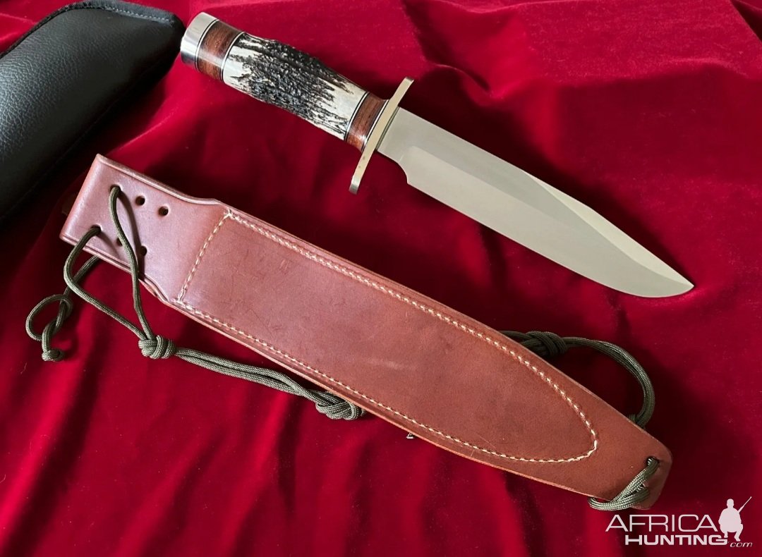 Bowie Knife In Stag With Stainless Blade