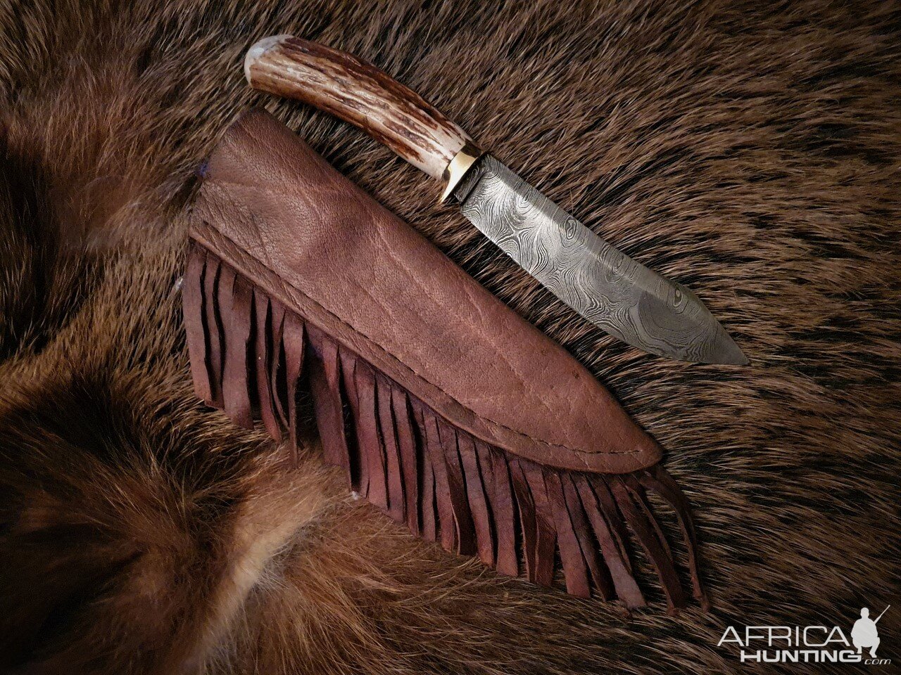 Bowie Style Knife & Sheath