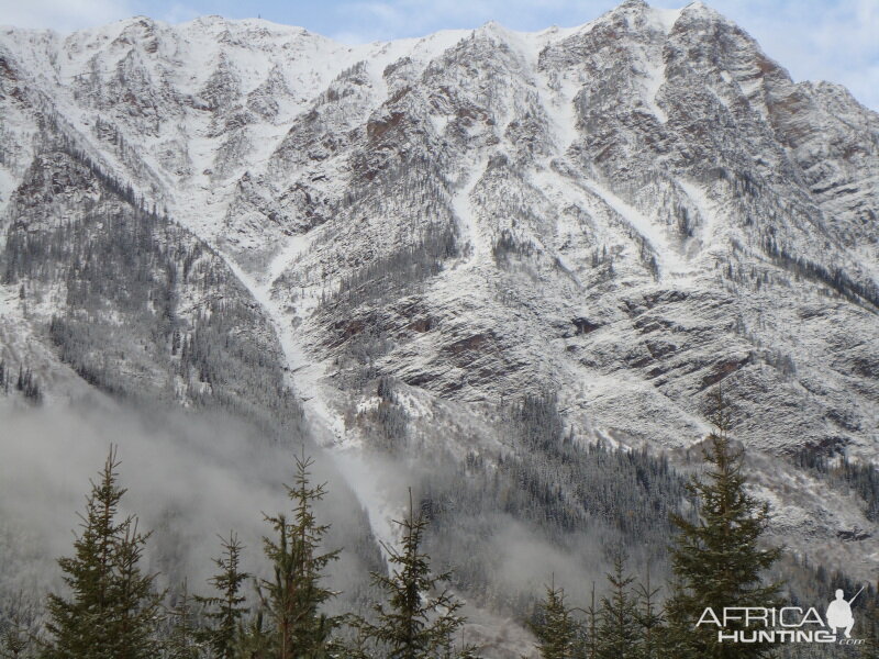 British Columbia Rocky Mountain Goat Hunt