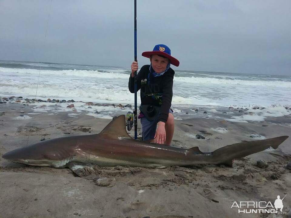 Bronze Whaler Shark Fishing Namibia