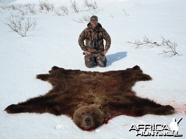 Brown Bear Hunt Alaska