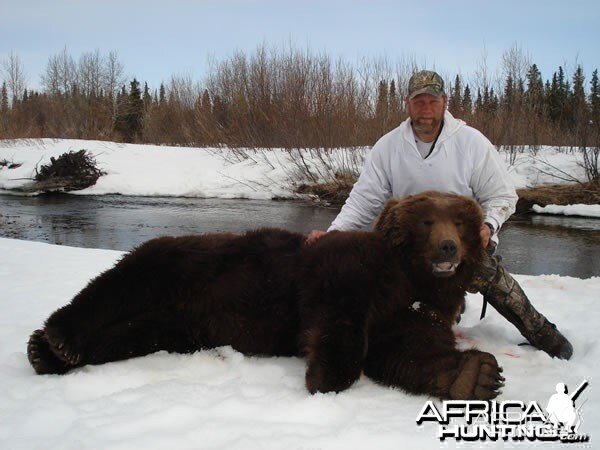 Brown Bear Hunt Alaska