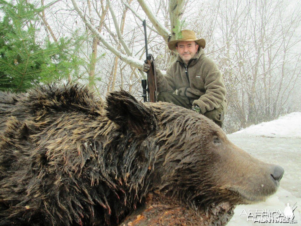 Brown Bear Hunt in Romania