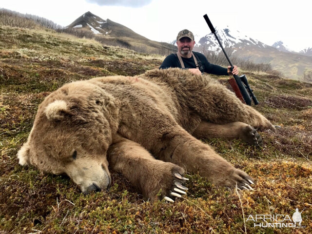 Brown Bear Hunt