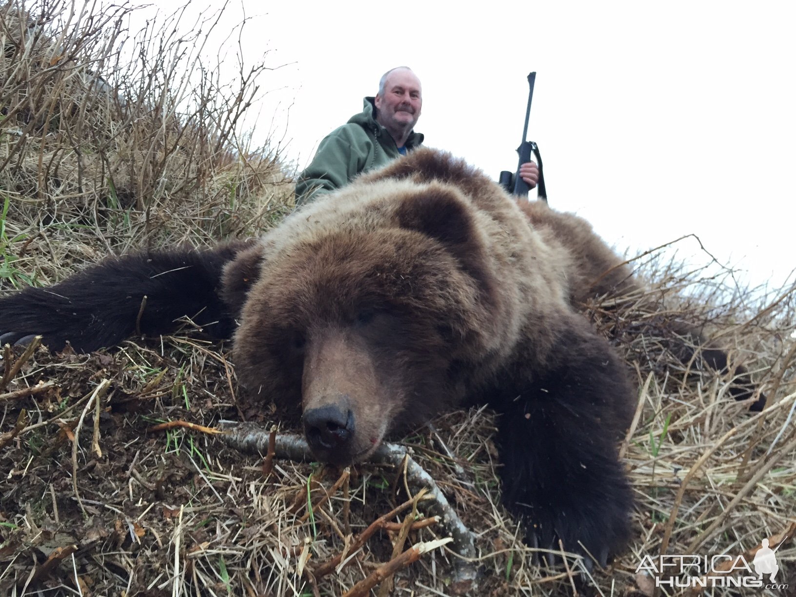 Brown Bear Hunt