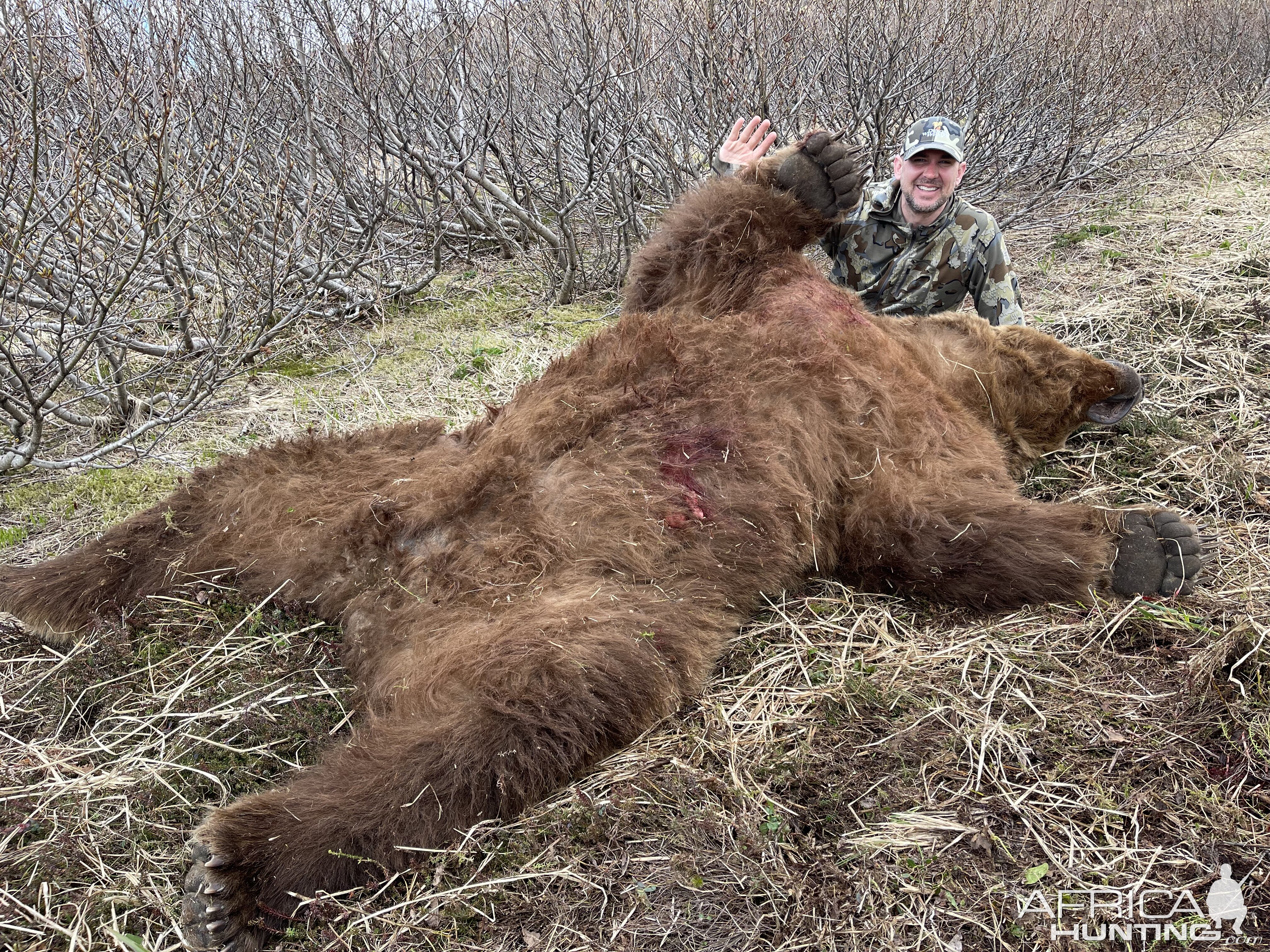 Brown Bear Hunting Alaska