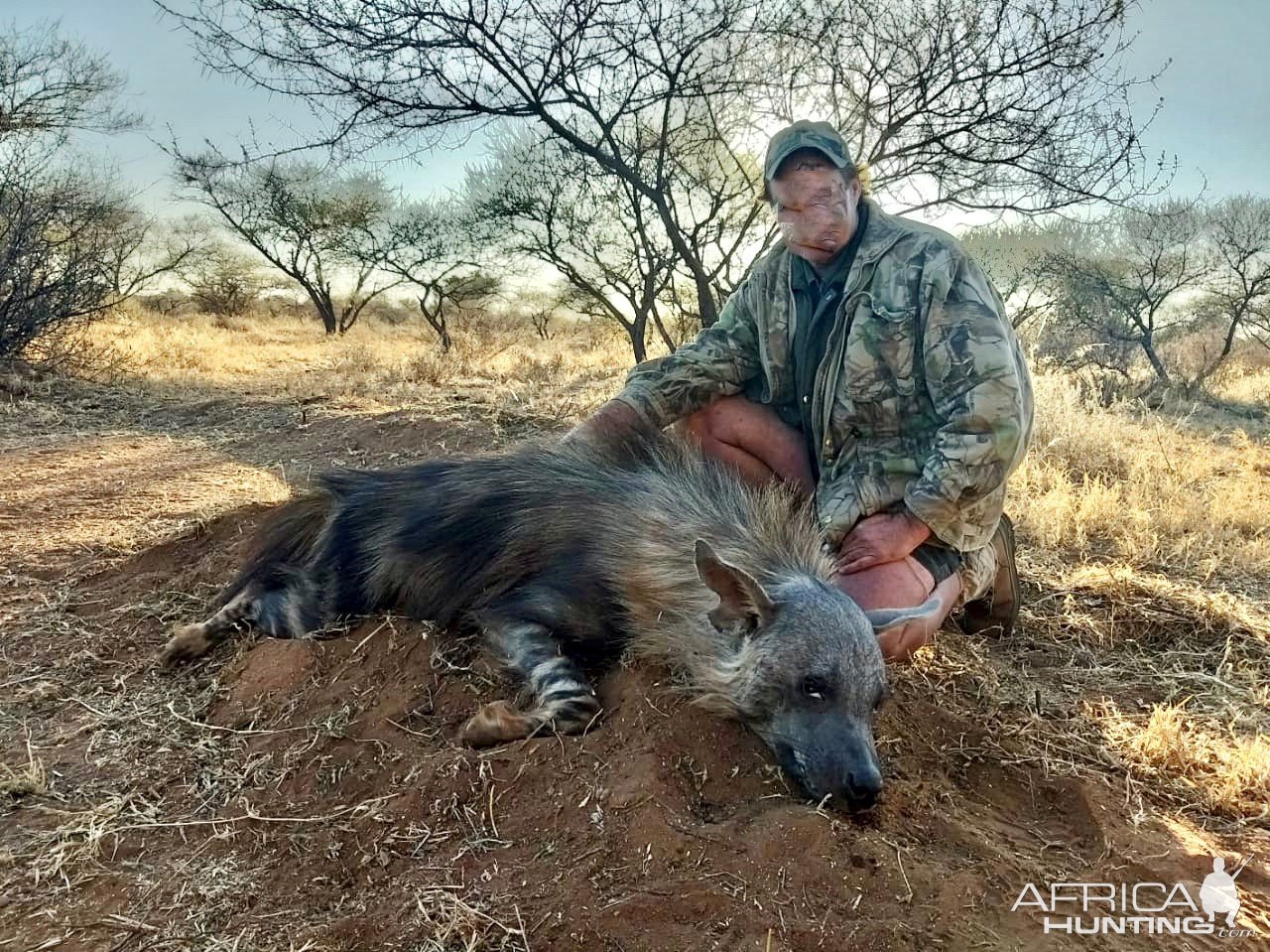 Brown Hyena Hunt