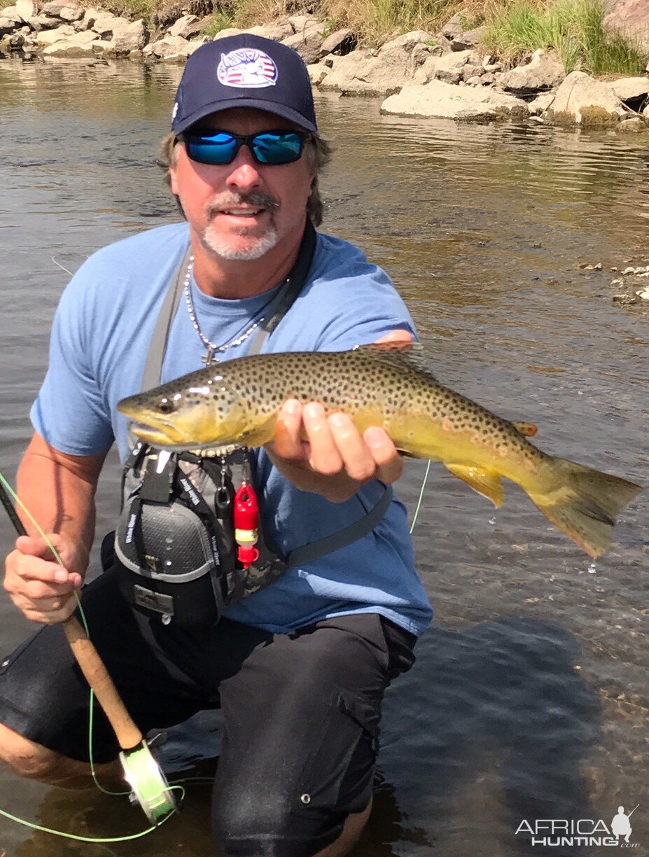 Brown Trout Fishing Montana | AfricaHunting.com