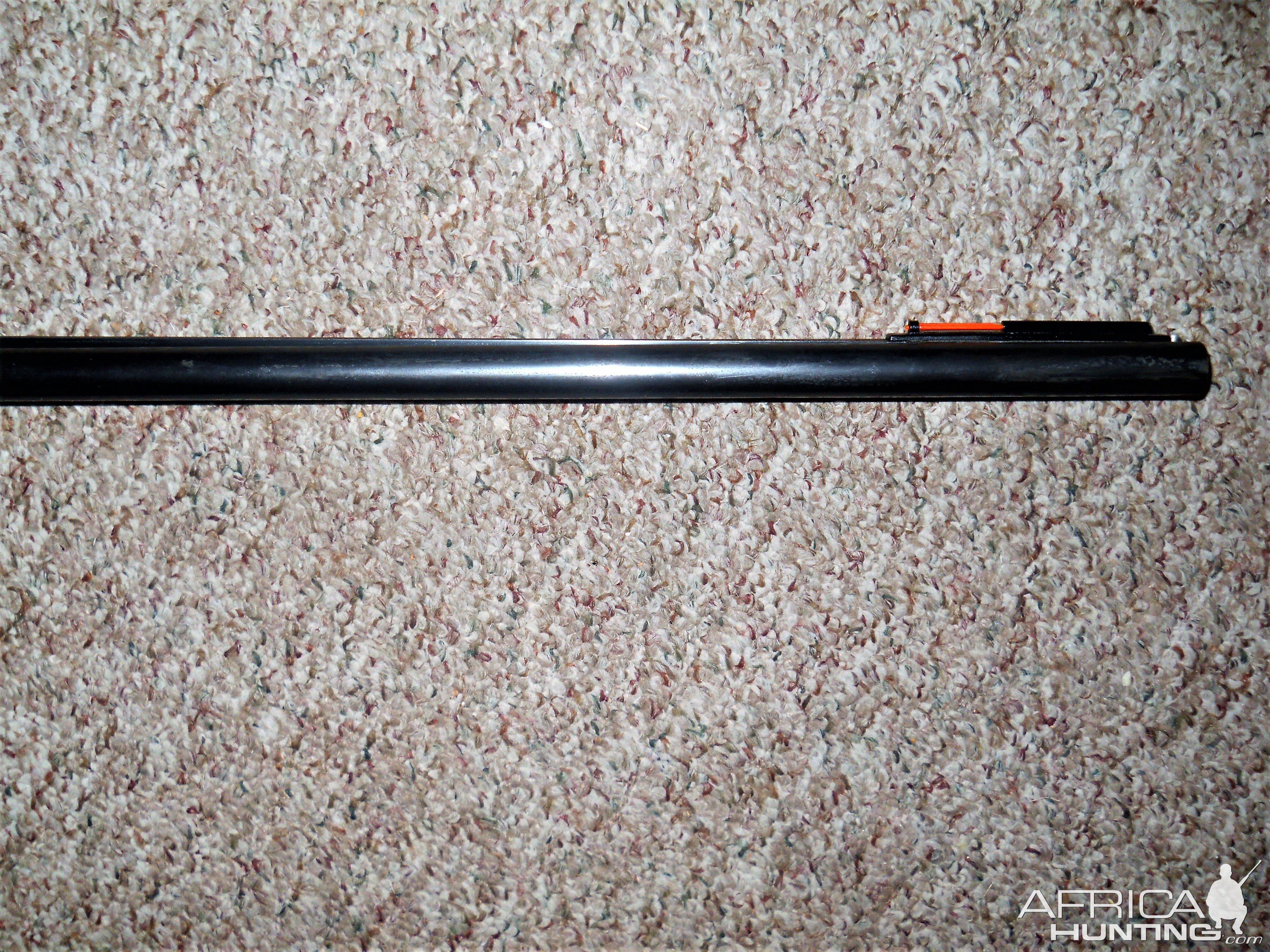 Browning BSS Sporter in 20 Ga Shotgun