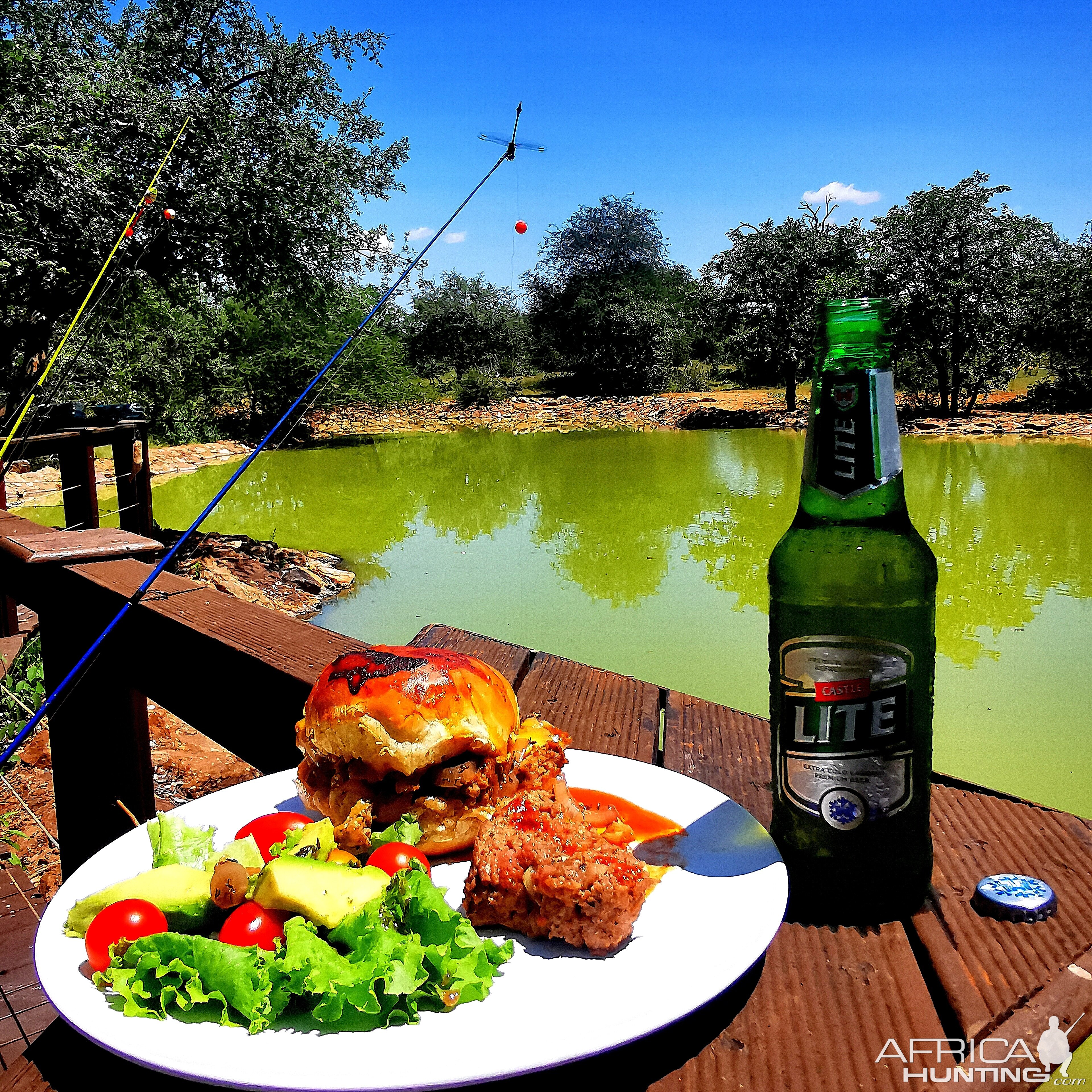 Brunch at the Wetland dam