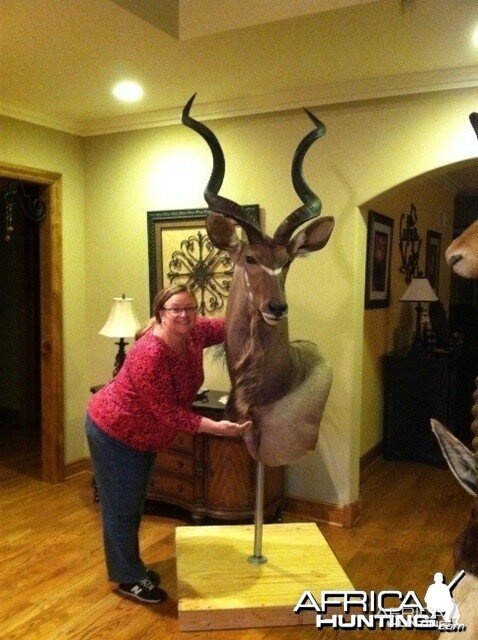 Bryson's Kudu