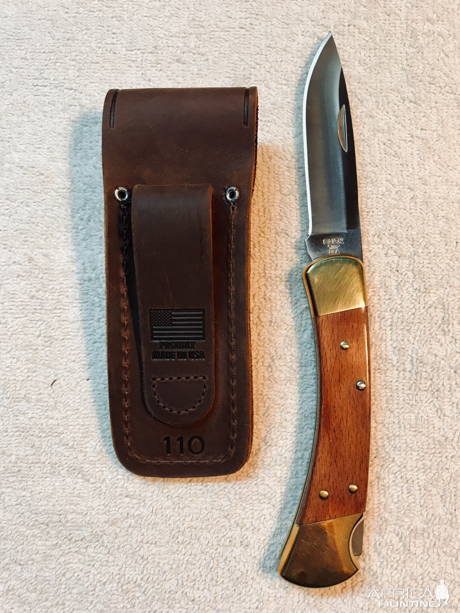 Buck 110 Knife & Sheath