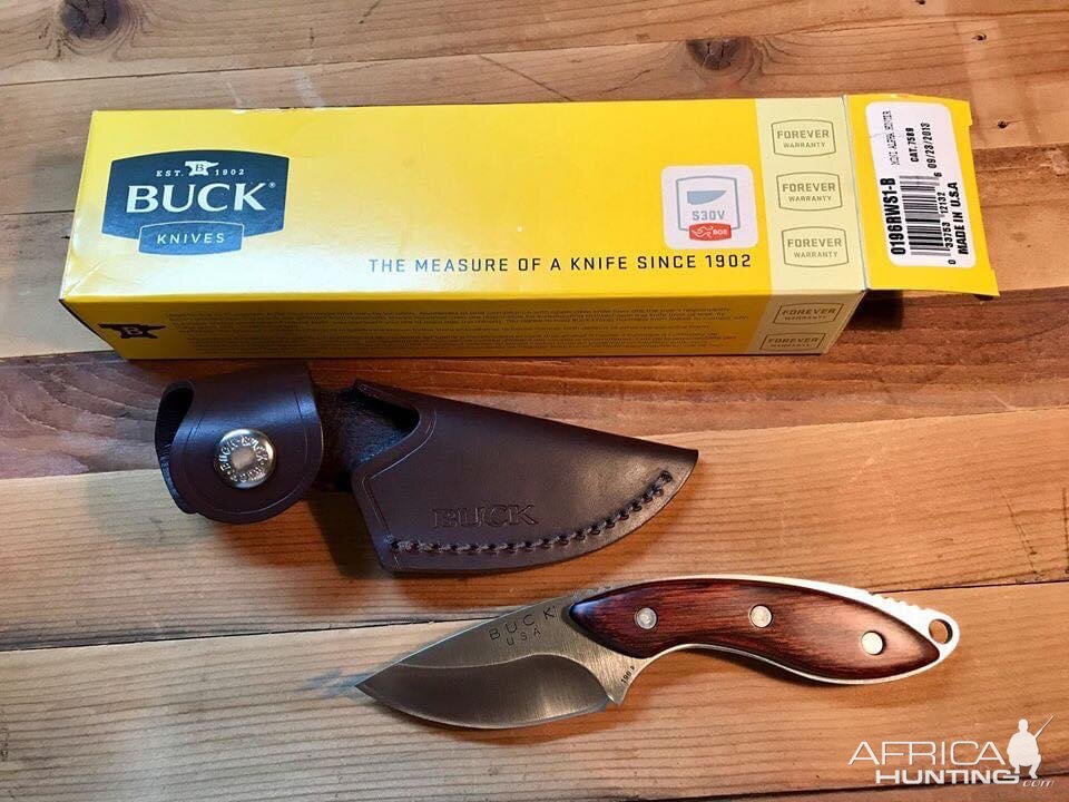 Buck 196 Mini Alpha Hunter Knife