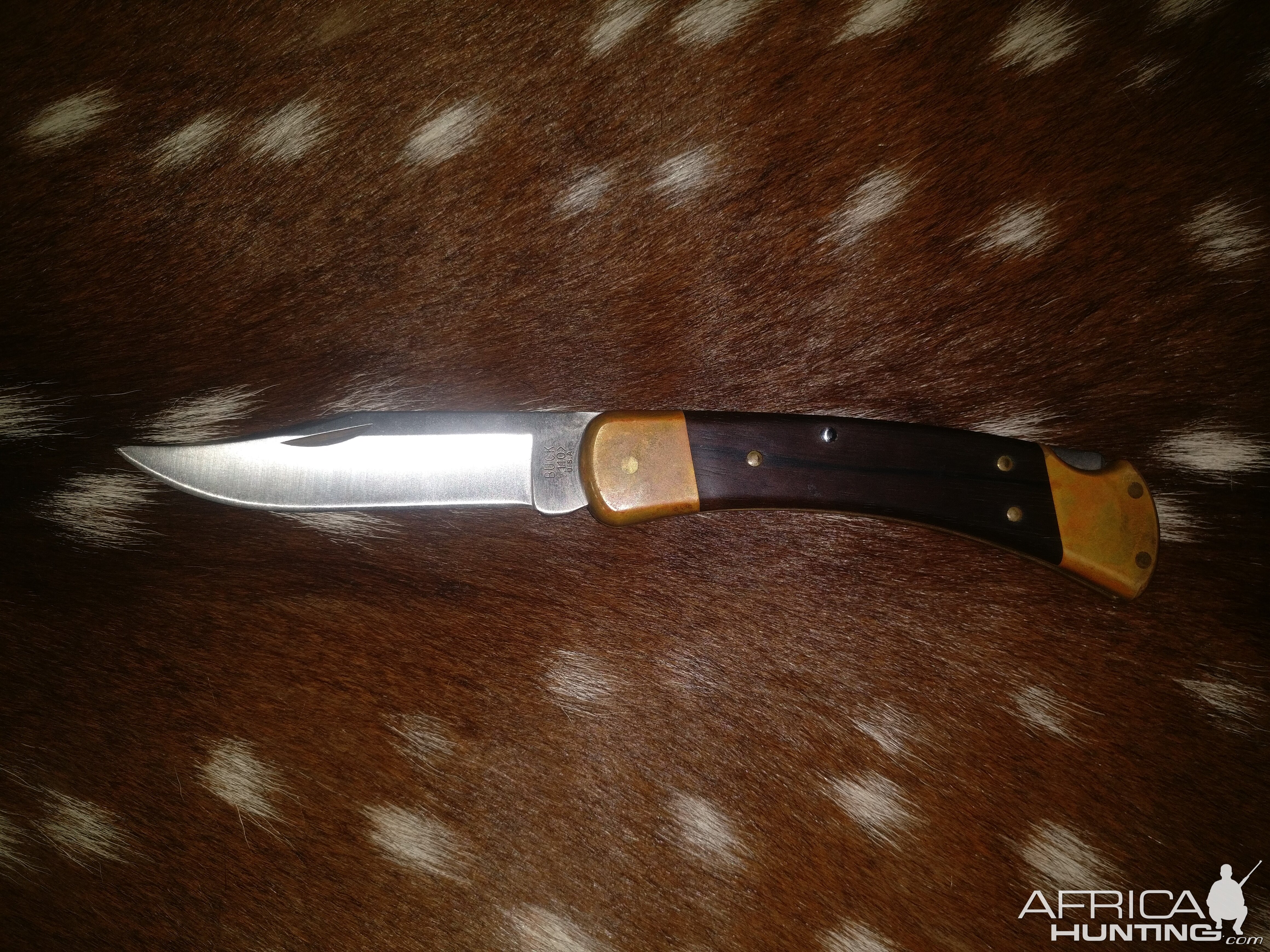 Buck Knive Model 110