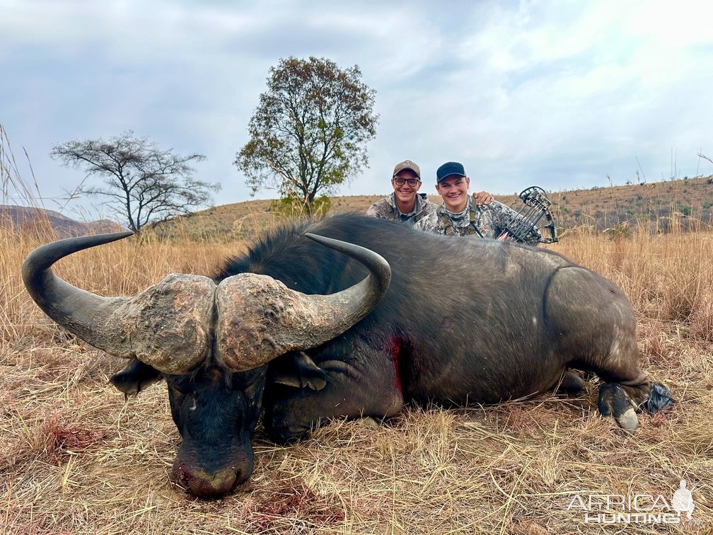 Buffalo Bow Hunt South Africa