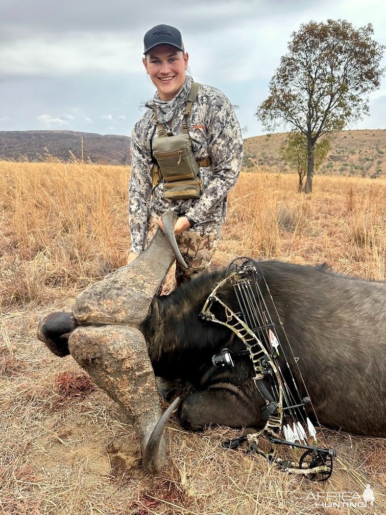 Buffalo Bow Hunt South Africa