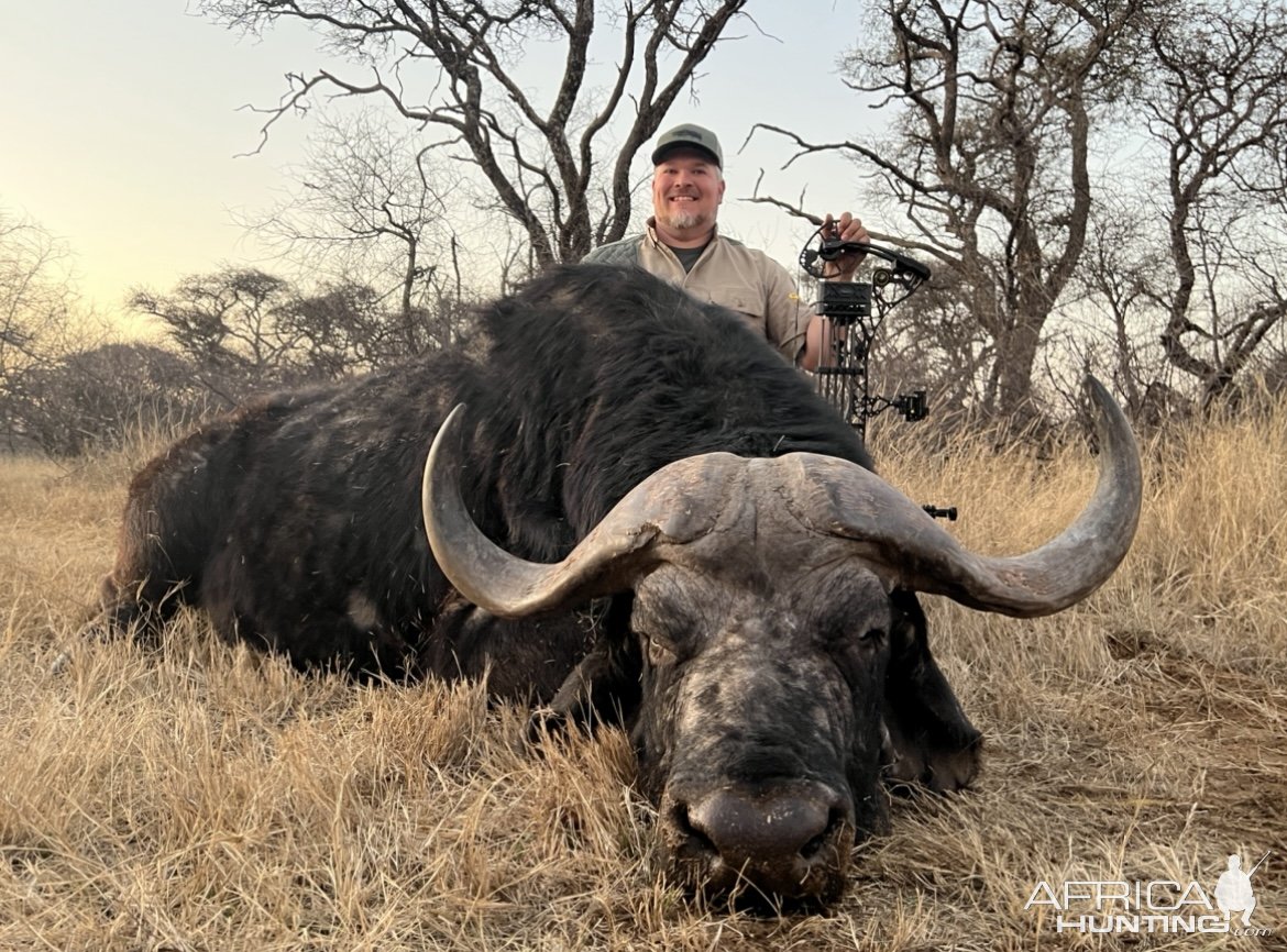 Buffalo Bow Hunting South Africa