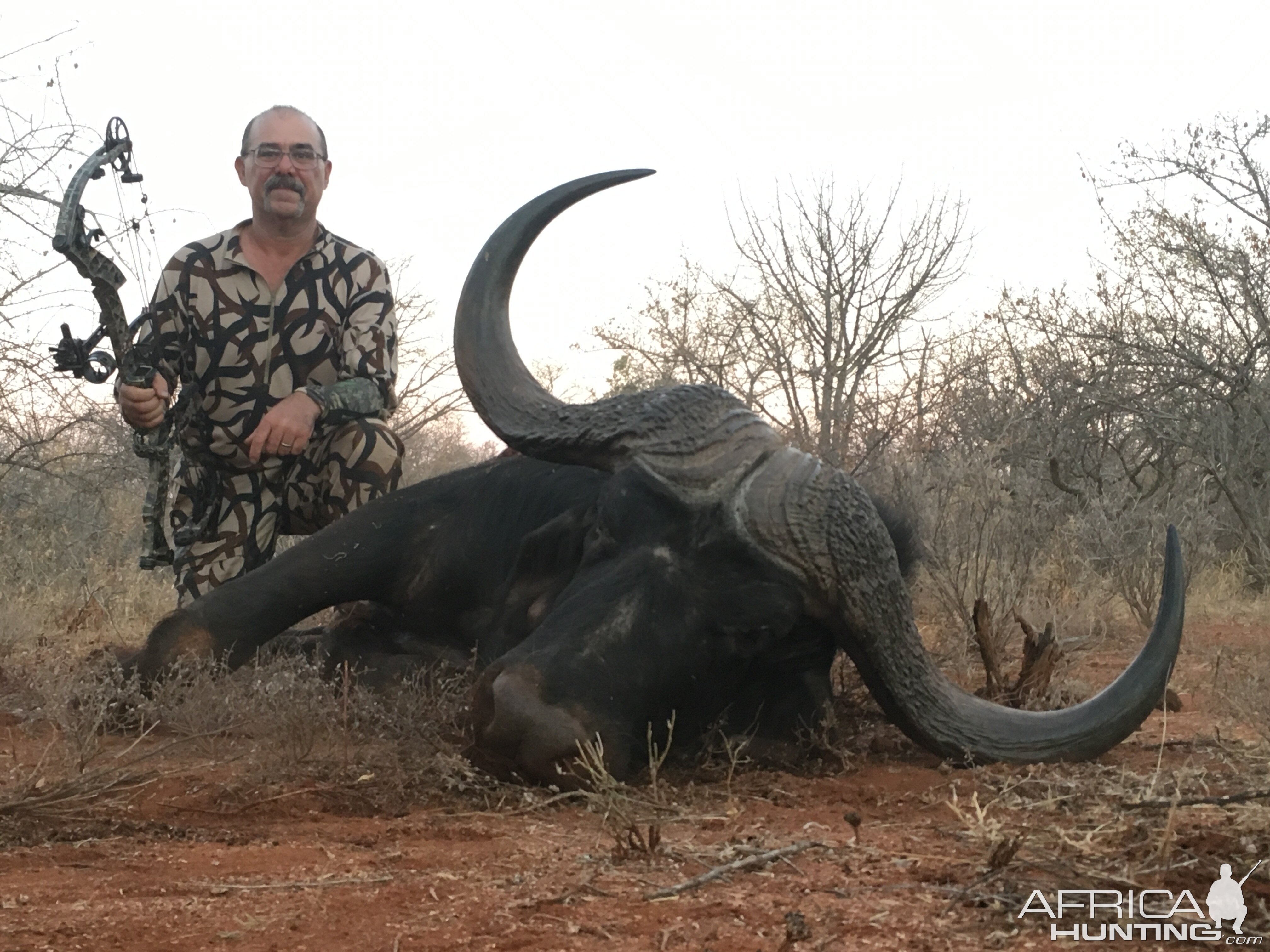 Buffalo Bow Hunting South Africa