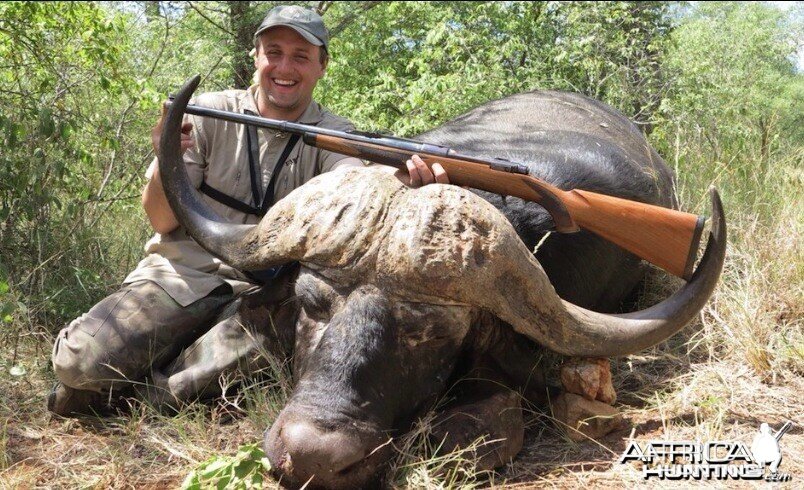 Buffalo bull hunting