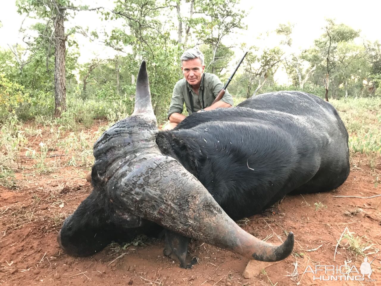 Buffalo Bull with JKO Hunting Safaris in South Africa