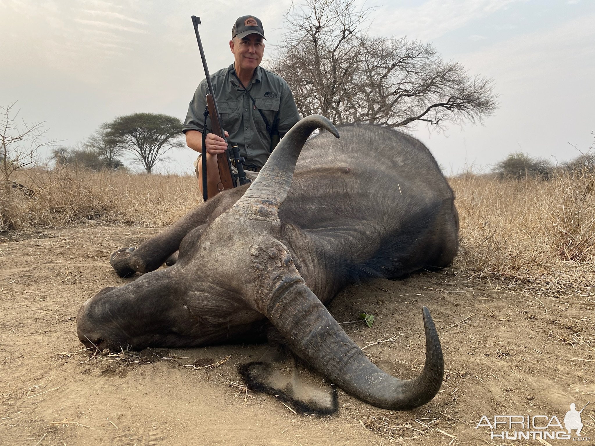 Buffalo Cow Hunt Limpopo South Africa