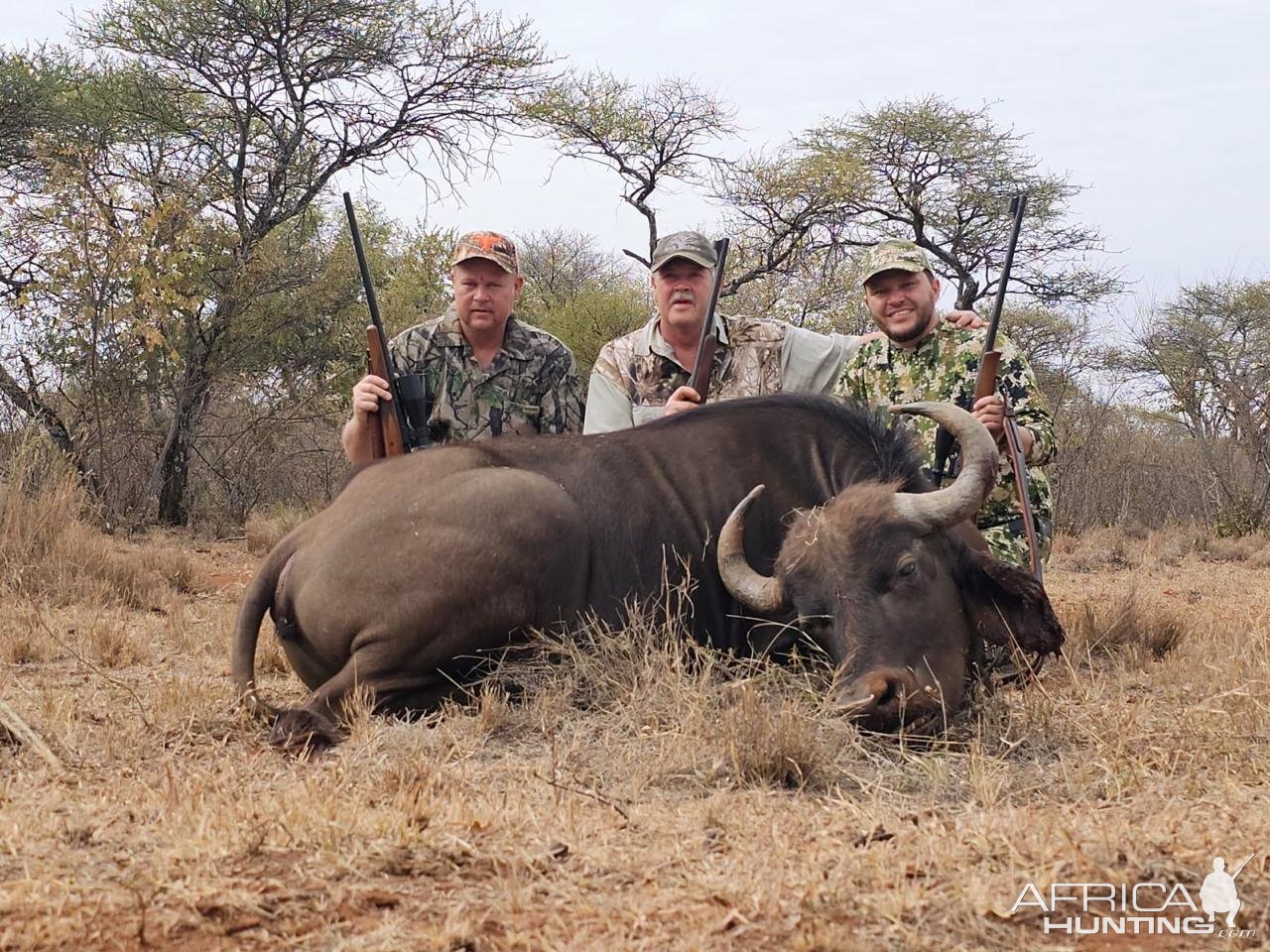 Buffalo Cow Hunt South Africa